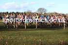 Boys under-15s 2025 Northern Cross Country Champs, Tatton Park, Knutsford, Cheshire. Photo: David T. Hewitson/Sports for All Pics